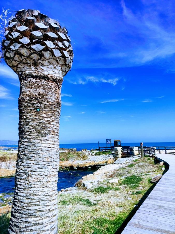 Apartamento Acogedor En Cabanes, Torre La Sal, Costamar I Marina D'Or Venta de San Antonio-Estacion 외부 사진
